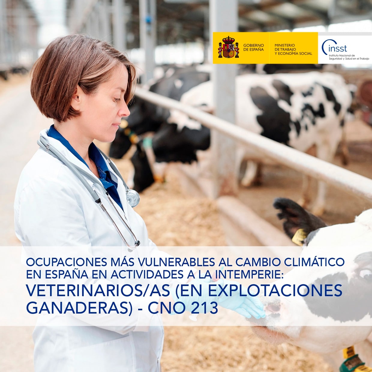 Ocupaciones más vulnerables al cambio climático en España en actividades a la intemperie: Veterinarios/as (en explotaciones ganaderas) - CNO 213 - Año 2025