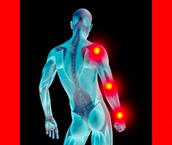 Imagen de una radiografía del cuerpo humano