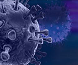 Imagen representativa del virus de la Covid-19