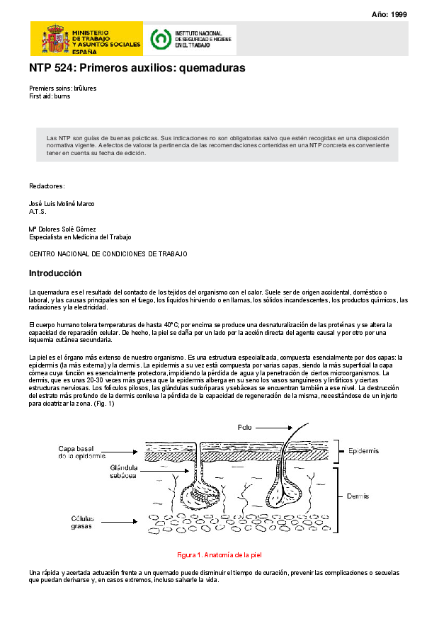Primera página del documento NTP 524: Primeros auxilios: quemaduras