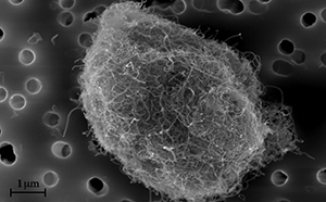 Imagen Nanomateriales