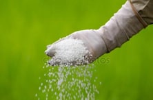 Imagen Productos Fitosanitarios