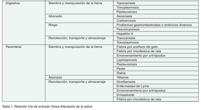 Tabla 1. Relación entre vía de entrada digestiva y parenteral, tarea agraria y alteraciones de la salud asociadas.