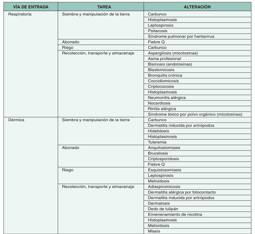 Tabla que relaciona la vía de entrada (respiratoria, dérmica), la tarea agrícola y la alteración o enfermedad asociada.