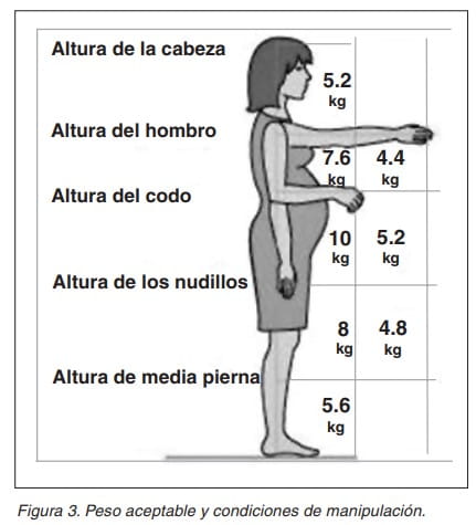 Figura del peso aceptable a manipular según la altura del cuerpo, desde la cabeza hasta media pierna