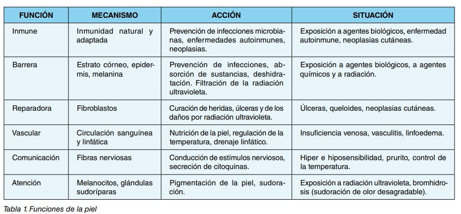 Tabla de funciones de la piel: inmune, barrera, reparadora, vascular, comunicación y atención, con mecanismo, acción y situación