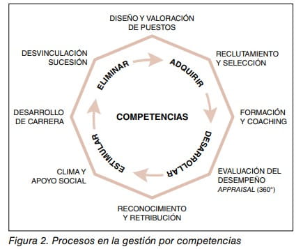Diagrama circular de procesos en la gestión por competencias: adquirir, desarrollar, estimular y eliminar