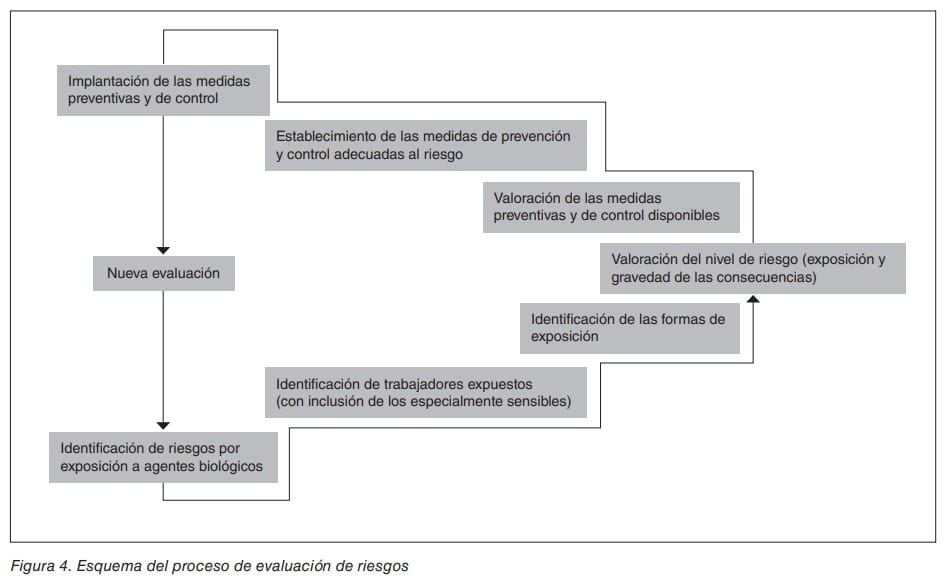 Esquema del proceso de evaluación de riesgos por exposición a agentes biológicos