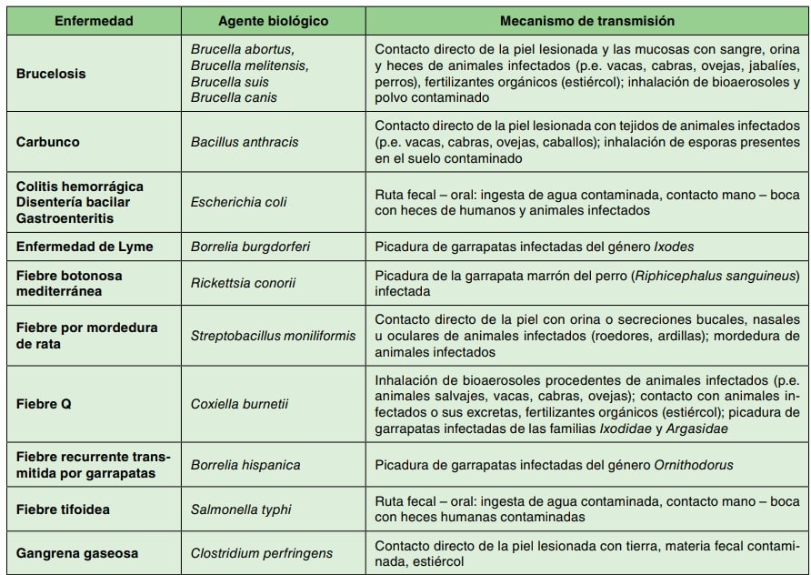 Tabla de infecciones por agentes biológicos: enfermedad, agente y mecanismo de transmisión.