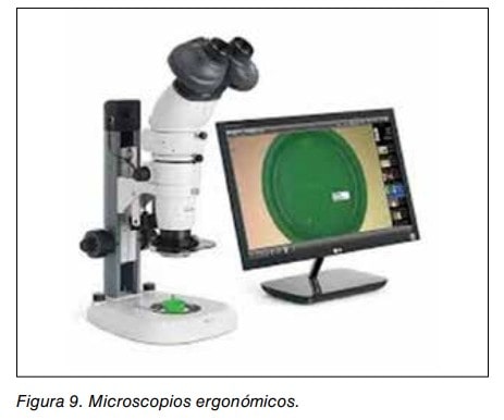 Microscopio estereoscópico ergonómico conectado a un monitor que muestra la imagen ampliada.