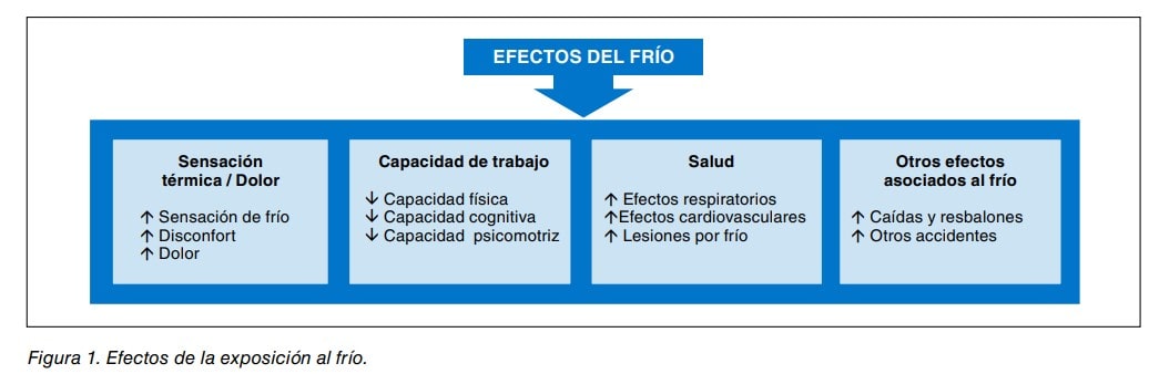 Esquema de los efectos de la exposición al frío: sensación térmica, capacidad de trabajo, salud y otros