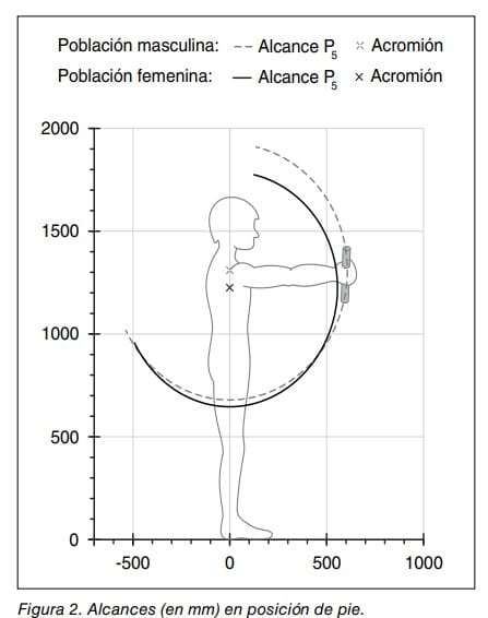 Figura 2: gráfico de alcances en mm en posición de pie para población masculina y femenina
