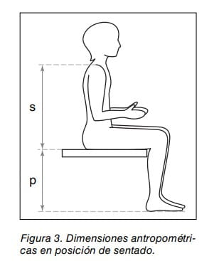 Dimensiones antropométricas en posición de sentado: altura del tronco (s) y del muslo (p) de una persona sentada.