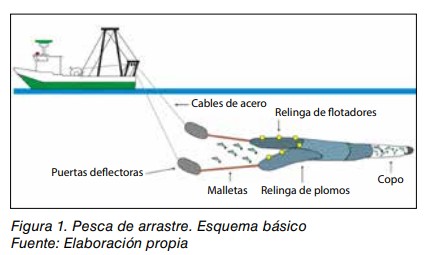 Esquema de la pesca de arrastre: barco, cables, puertas deflectoras, malletas, relingas y copo de la red.
