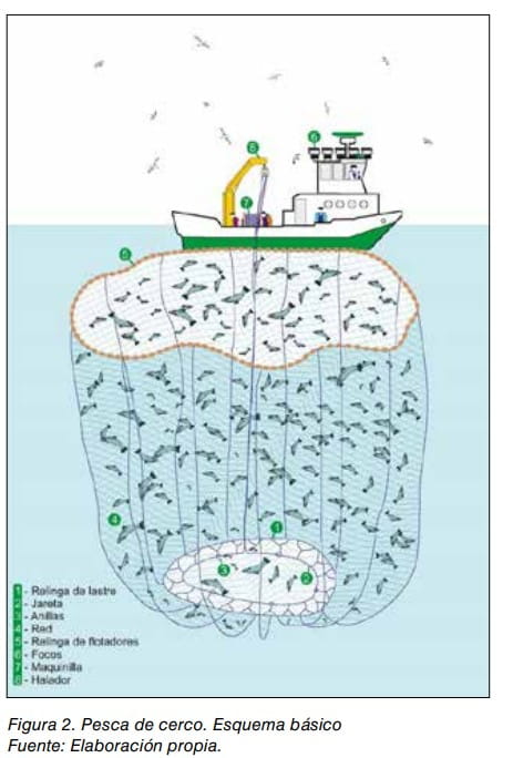 Figura 2: esquema básico de la pesca de cerco con la red y partes del aparejo numeradas