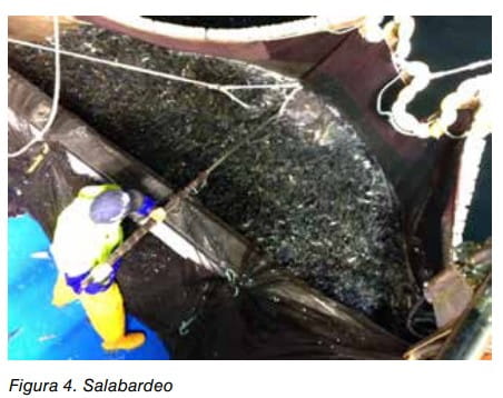 Figura 4. Salabardeo: operario recogiendo pescado de una red en un buque pesquero.