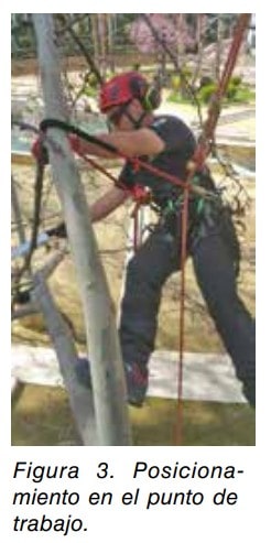 Trabajador con arnés y casco posicionado mediante cuerdas en el punto de trabajo sobre un poste.