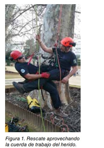 Figura 1: dos operarios con arnés y casco realizan un rescate en árbol aprovechando la cuerda de trabajo del herido.