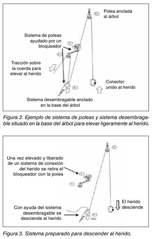 Esquema de un sistema de poleas con bloqueador anclado al árbol para elevar y descender a un herido en rescate