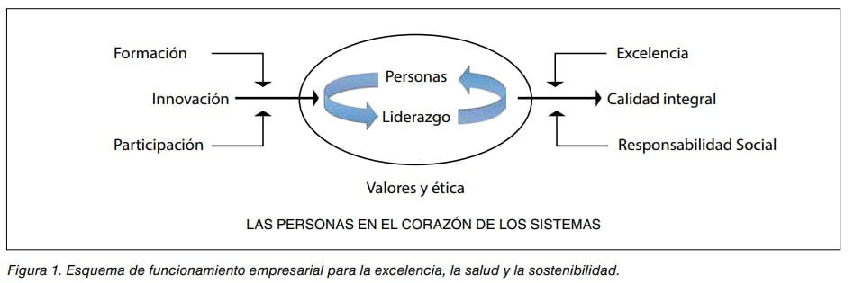 Esquema de funcionamiento empresarial para la excelencia, la salud y la sostenibilidad, con las personas en el centro de los sistemas