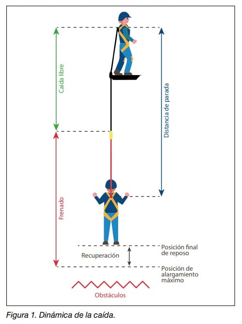 Figura 1. Dinámica de la caída: caída libre, frenado, distancia de parada y recuperación de un trabajador con arnés