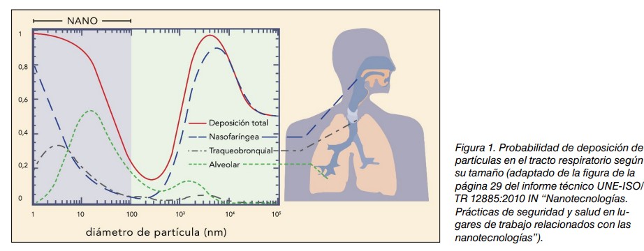 Gráfico de probabilidad de deposición de partículas en el tracto respiratorio según su tamaño, con esquema de las vías respiratorias
