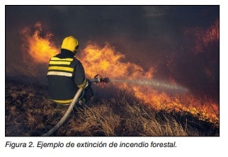 Bombero forestal de espaldas extinguiendo con manguera un incendio en vegetación con grandes llamas.