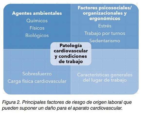 Esquema de factores de riesgo laboral para el aparato cardiovascular: agentes ambientales, psicosociales y físicos