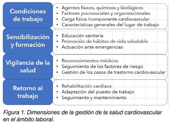 Esquema de las dimensiones de la gestión de la salud cardiovascular en el ámbito laboral y sus contenidos.