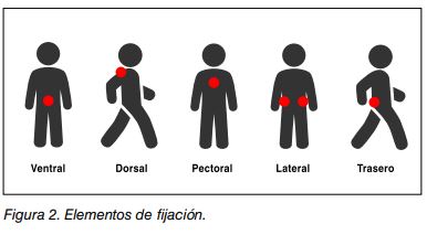 Posiciones de los elementos de fijación del arnés en el cuerpo: ventral, dorsal, pectoral, lateral y trasero.