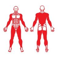 Imagen de lesiones en cuello, espalda, hombro, brazo, mano